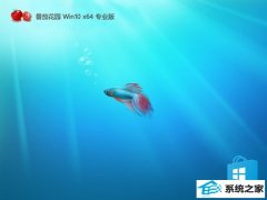 ���ѻ�԰win10�Ƽ��޲�����64λv2025.12�⼤��