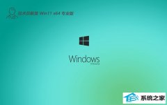 ����Ա��������64λwin11�����ٷ���v2025.12