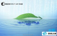 ����ϵͳwin11����������64λv2025.12�⼤��