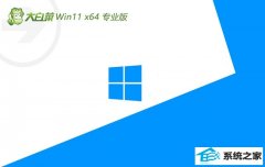 ��ײ�win11 64λ �⼤���׼��Ʒ��v2025.12